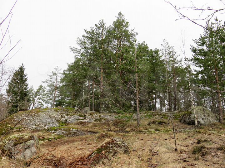 Участок 20 сот. (ИЖС)