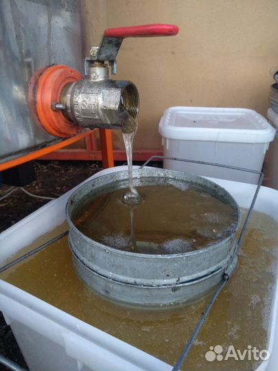 Мёд 2023 года со своей пасеки