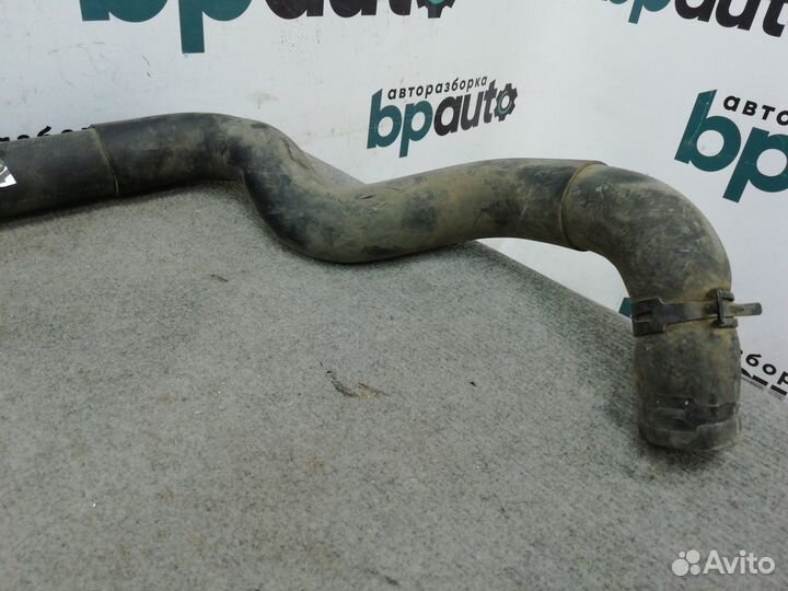 Патрубок системы охлаждения нижний двигатель v25
