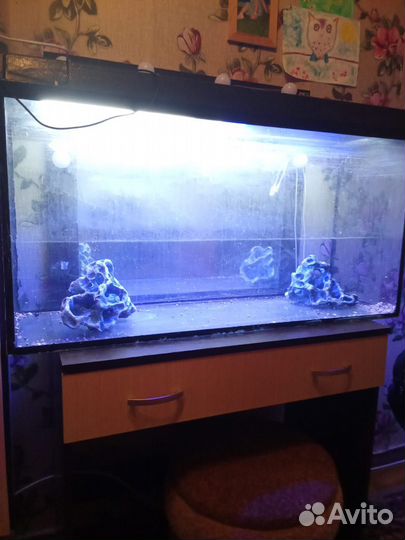 Аквариум
