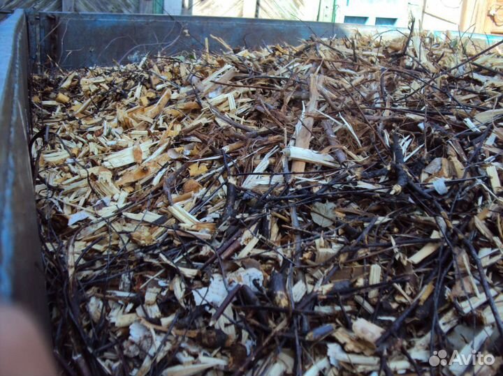 Мульча яблоневая