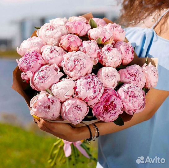 Пионы Розы Доставка