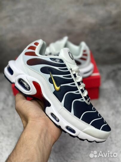 Кроссовки Nike Air Max Tn Plus