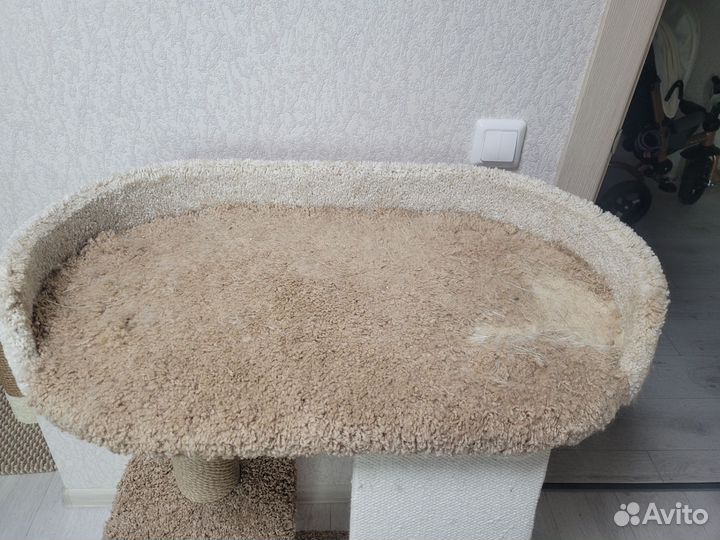 Когтеточка