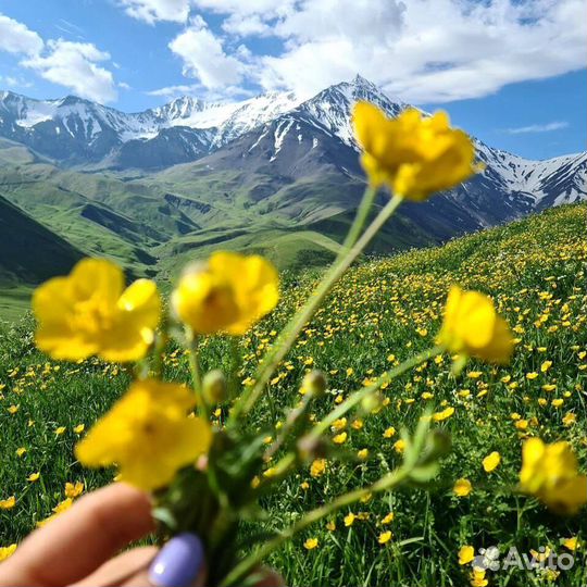 Тур в Дагестан. Все включено. 6 дней