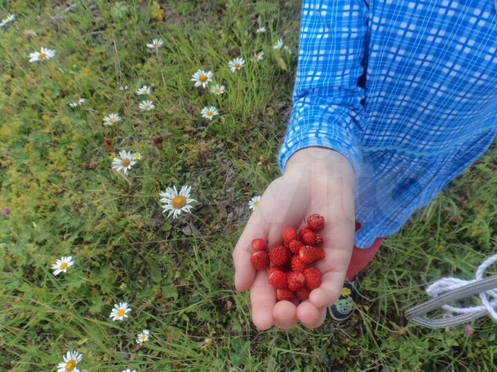 2-к. квартира, 51 м², 1/1 эт.