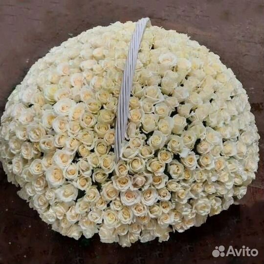 Букет из 1001 розы Голландия