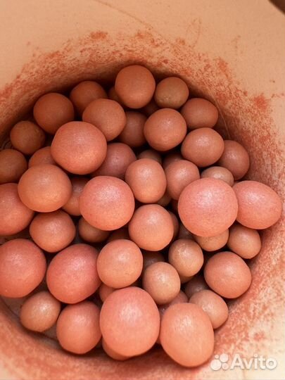 Paul joy disney пудра румяна 001