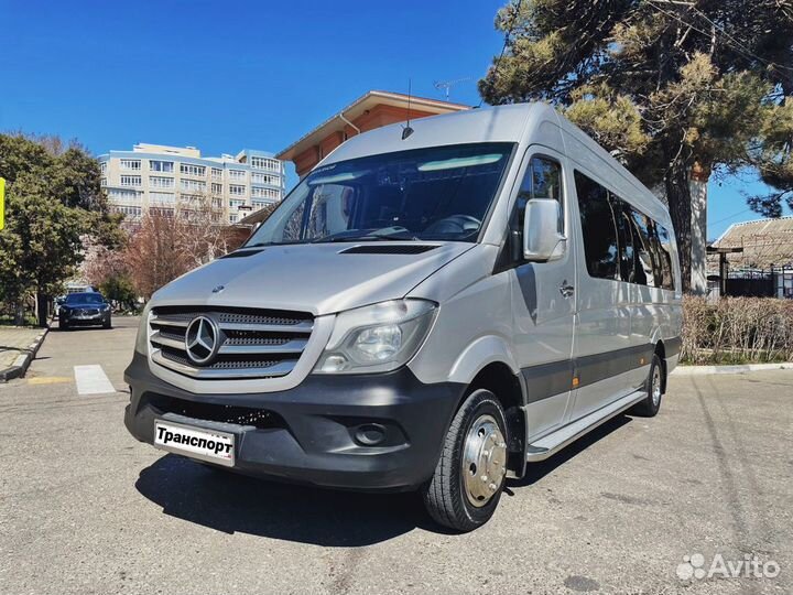 Заказ и Аренда Автобуса. Трансфер на Автобусах