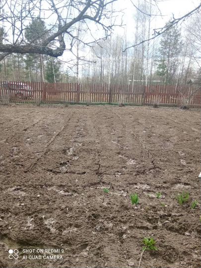 Дача 20 м² на участке 8 сот.