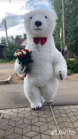 Поздравление от белый мишки