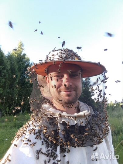 Мед/мёд Цветочный