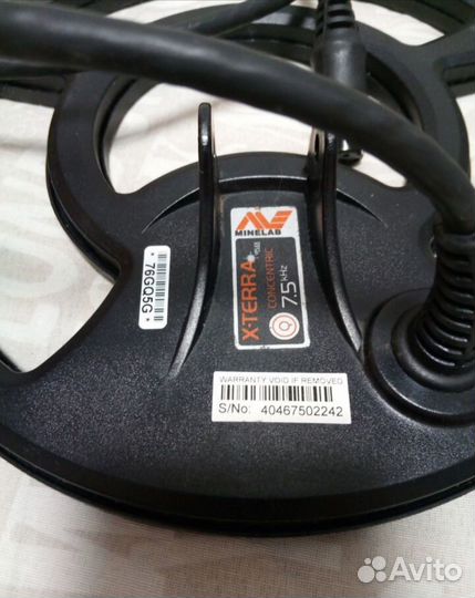 Металлоискатель Minelab x-terra 305