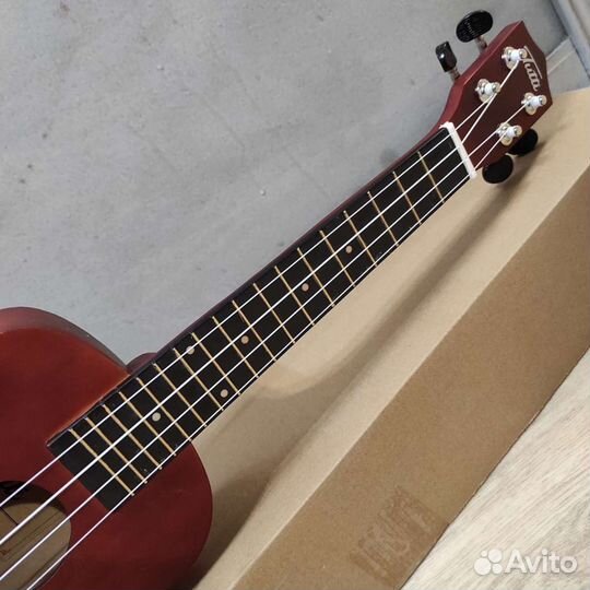 Укулеле концерт новая