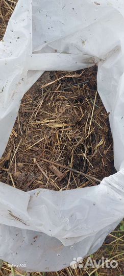 Сено перегной для тёплых грядок