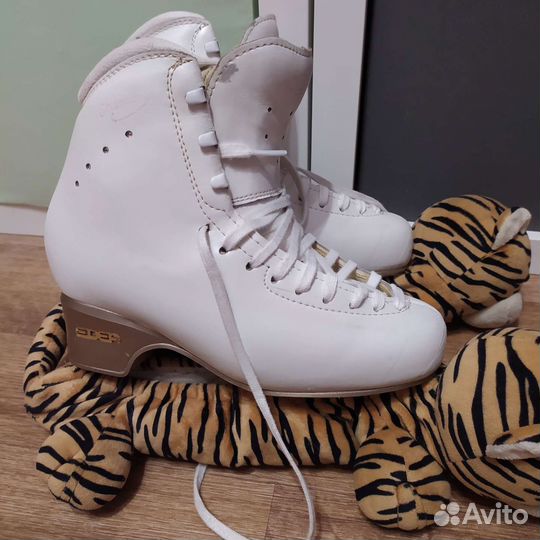 Коньки Edea Chorus 240
