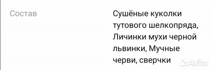 Лакомство для грызунов