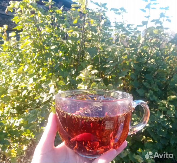 Чай заговорённый, травянной