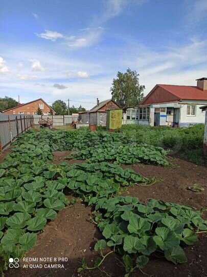 Дом 64 м² на участке 12 сот.