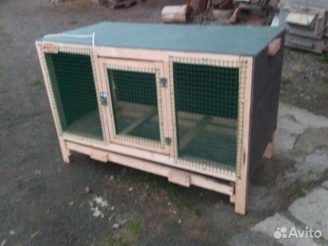 Брудер для разведения цыплят