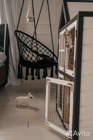 Карликовые милашки кролики