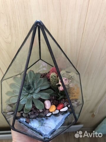 Флорариум с суккулентами в форме -маленькая капля