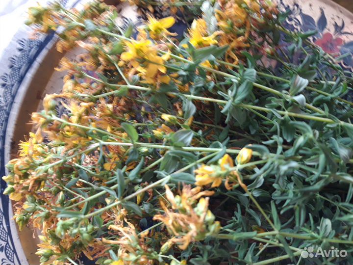 Травы лекарственные,для декора.Скрутки из трав