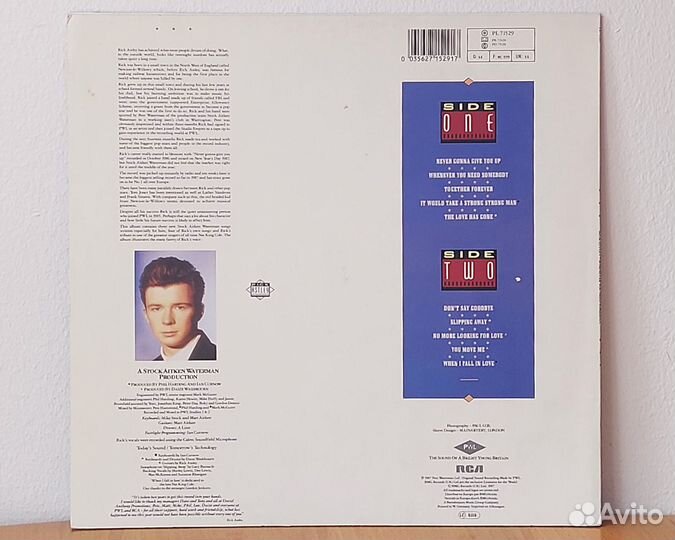 Rick Astley – Whenever You Need Somebody, LP, 1987
