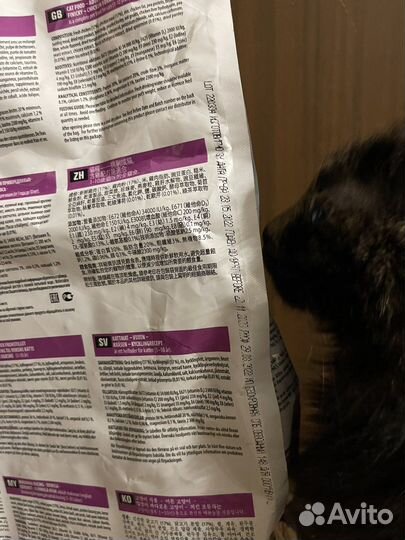 Корм для кошек сухой first choice (1st choice)