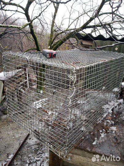 Клетка для кролика, кур, перепелов