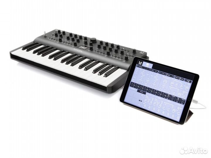 Modal Argon8 синтезатор