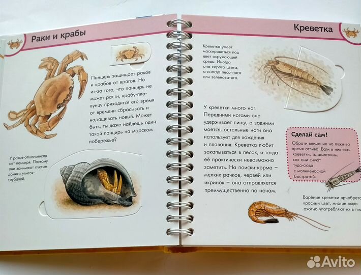 Зачем от чего почему детская книга