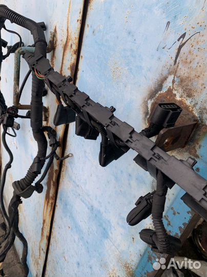 Проводка двигателя на Audi Q7 4L 3.6 BHK