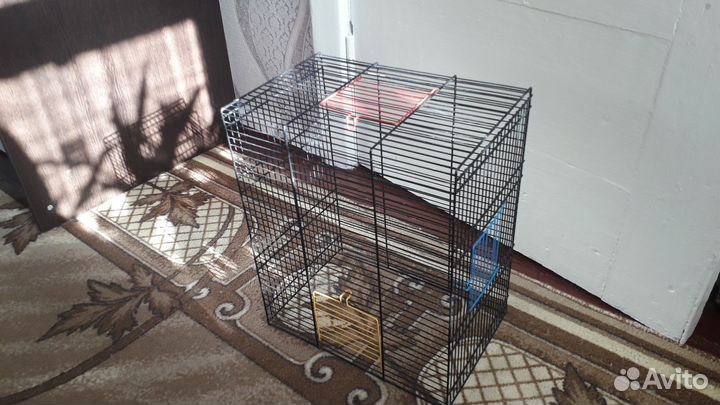 Клетка,нет дна