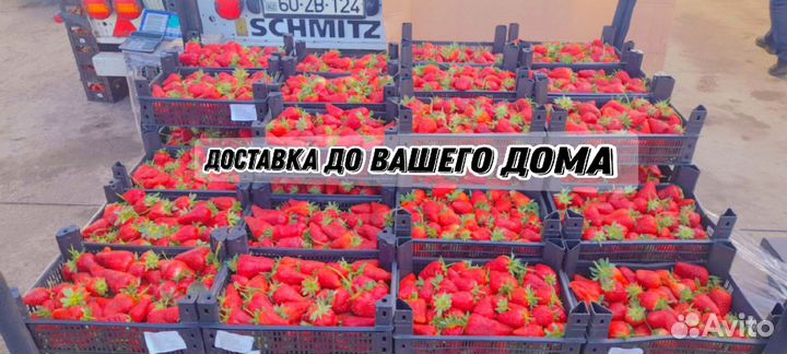 Клубника свежая доставка