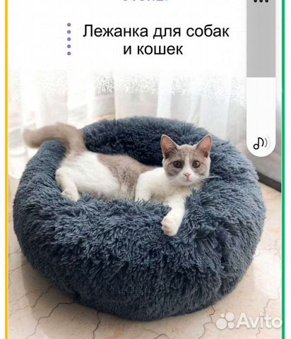 Лежанка для животного