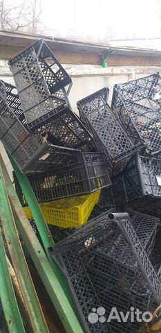 Пластиковые ящики бу