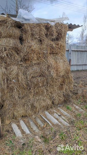 Сено в рулонах и тюках