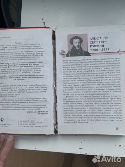 Литература учебник 9 класс