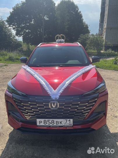 Катание свадеб