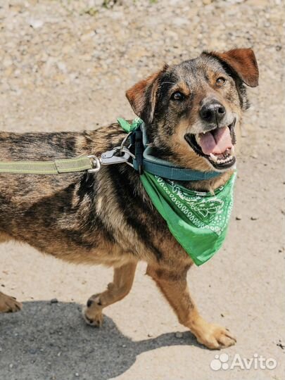 Томас хочет в семью