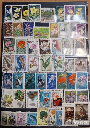 Почтовые марки СССР