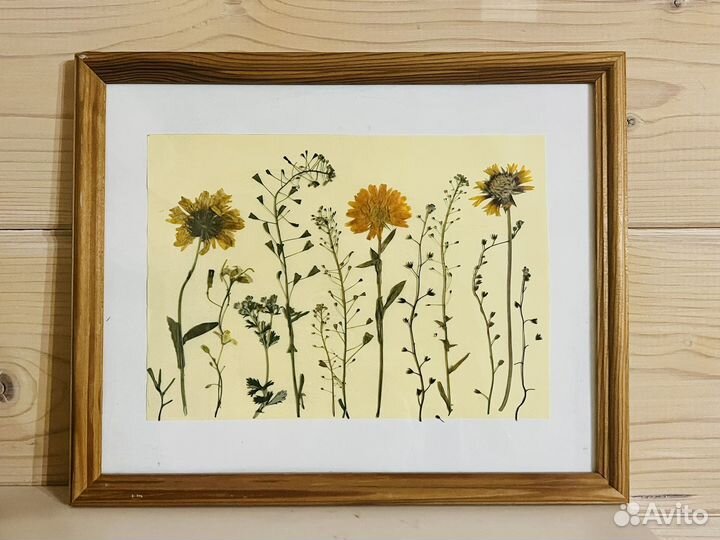 Картина гербарий