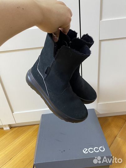Сапоги ecco 34