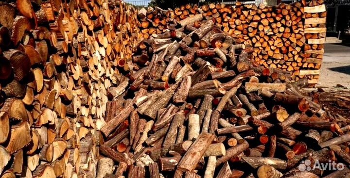 Дрова со Всеволожска