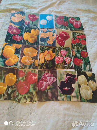 Открытки СССР