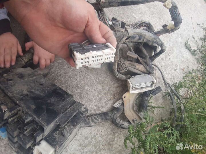 Проводка, коса Мазда 6 gg mps 2.3 турбо l3-vdt