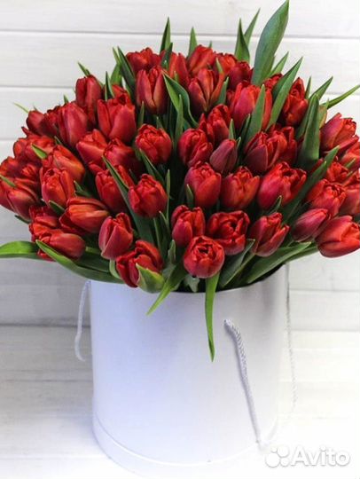 Тюльпаны цветы