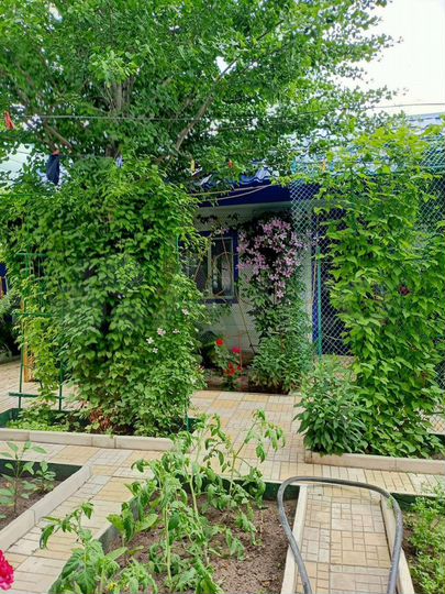 Комната 20 м², 1/1 эт.