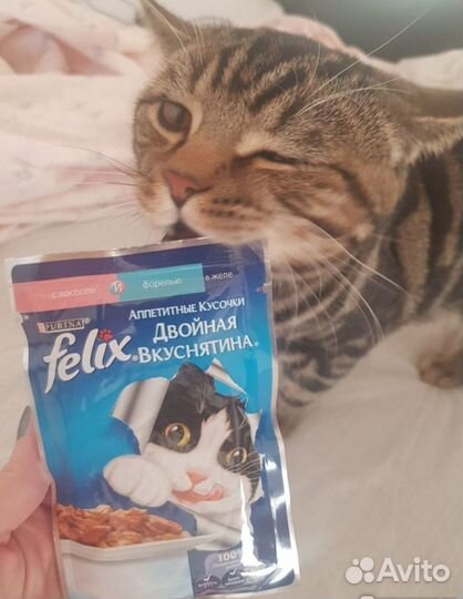 Корм Феликс Felix форель брянск доставка бесплатно